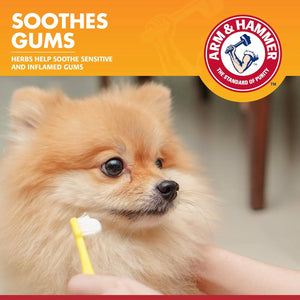 Arm & Hammer enzymatic dog toothpaste soothing sensitive and inflamed gums during gentle brushing