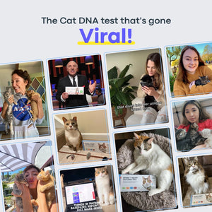 Customer photos and social proof showing cats tested with the Basepaws DNA test kit