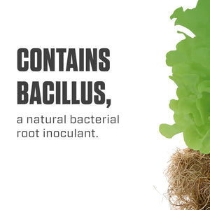 Botanicare Hydroguard Bacillus root inoculant containing natural beneficial bacteria for healthy plant roots