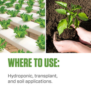 Hydroguard root inoculant suitable for hydroponic, transplant, and soil applications