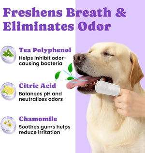 Dog dental finger wipe with ingredient highlights including tea polyphenol, citric acid, and chamomile.