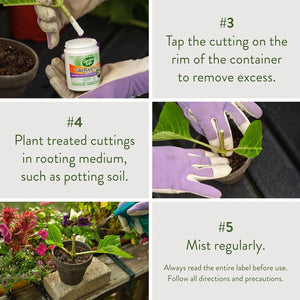 Gardener dipping plant cutting into Garden Safe TakeRoot Rooting Hormone powder before planting.