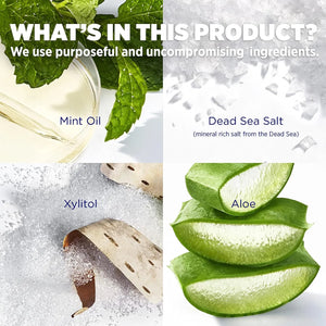 Ingredient image showing mint oil, Dead Sea salt, xylitol, and aloe used in Lumineux Complete Care Toothpaste