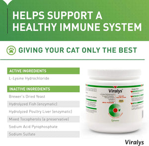 Vetoquinol Viralys L-Lysine Powder 100g showing active and inactive ingredients for cats and kittens.