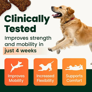 VetriScience GlycoFlex 3 Extra Strength dog hip and joint chewables clinically tested to support mobility flexibility and comfort