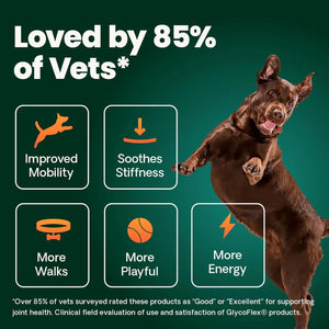 VetriScience GlycoFlex 3 Extra Strength dog joint supplement clinically evaluated for mobility and stiffness support