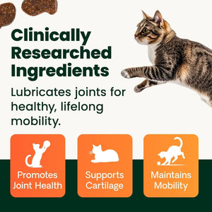 VetriScience GlycoFlex Healthy Hip and Joint Chews for Cats clinically researched ingredients to promote joint health and cartilage support.