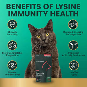 VetriScience Lysine Immunity Health Chews supporting immune health, respiratory wellness, and overall vitality in cats.