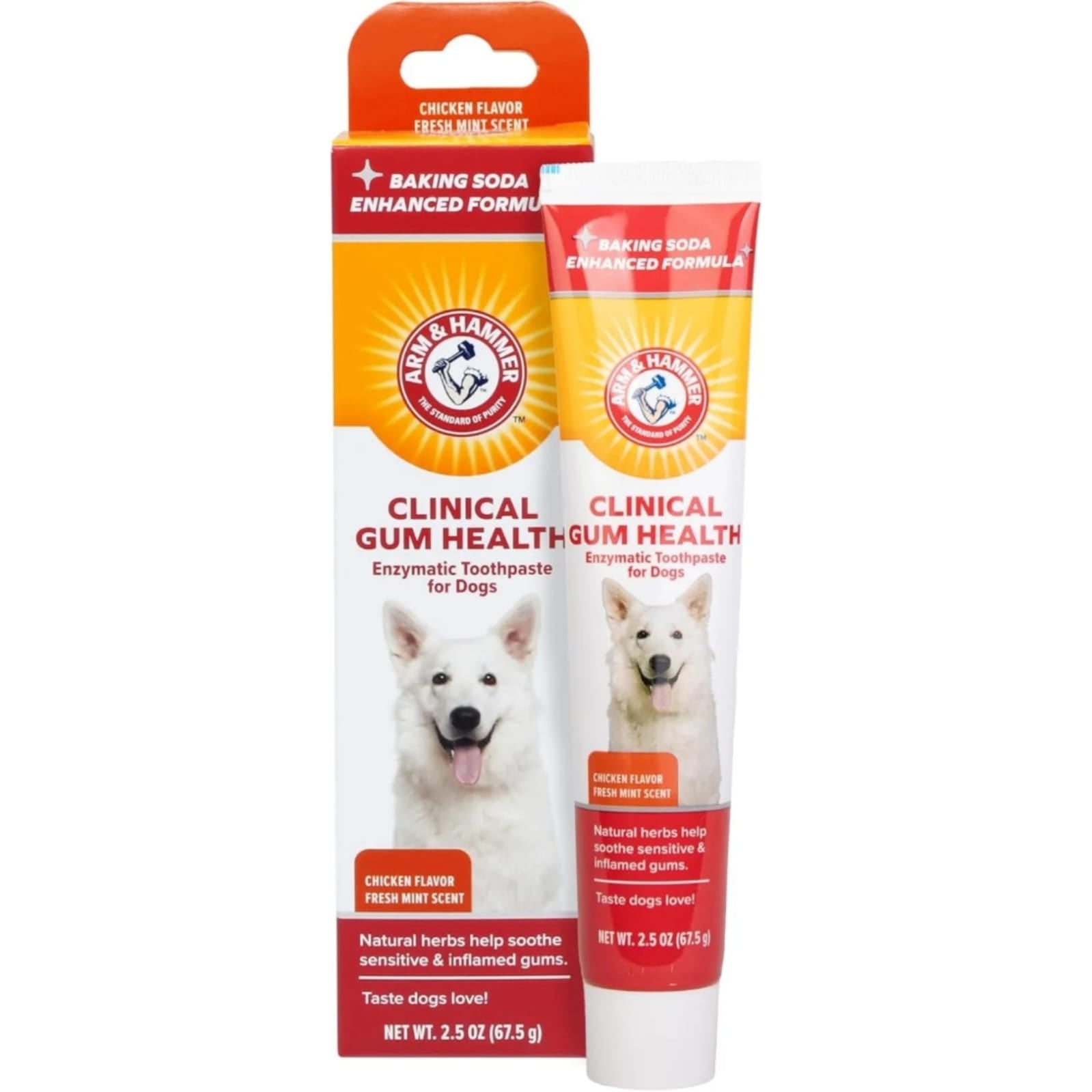 Arm & Hammer Clinical Gum Health enzymatic toothpaste for dogs in chicken flavor with fresh mint scent
