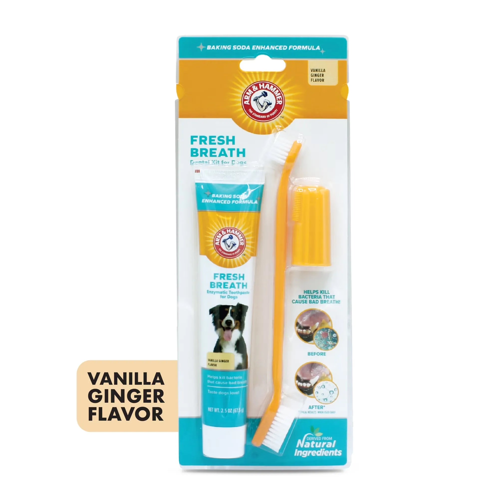 Arm & Hammer dog dental care fresh breath kit with toothpaste, toothbrush, and finger brush in vanilla ginger flavor