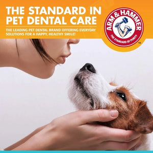 Dog owner gently holding their dog, highlighting Arm & Hammer as the standard in pet dental care.