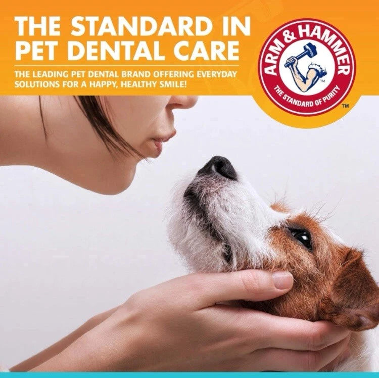 Dog owner gently holding their dog, highlighting Arm & Hammer as the standard in pet dental care.