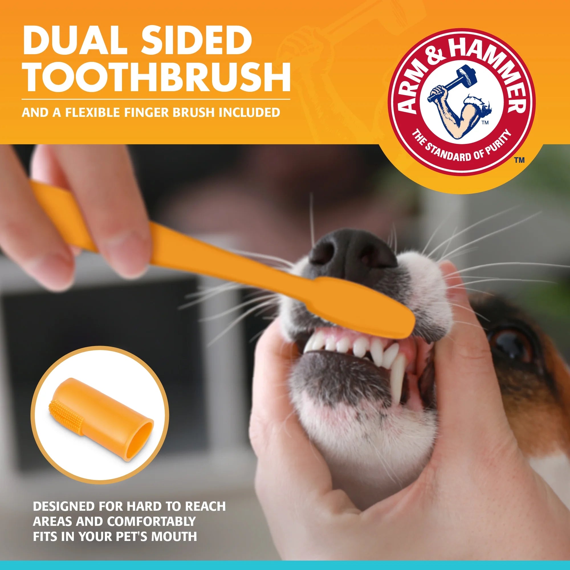 Brushing a dog’s teeth using Arm & Hammer dual-sided toothbrush and flexible finger brush