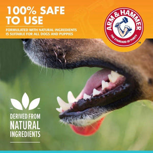 Dog showing clean teeth with Arm & Hammer Fresh Breath dog toothpaste made from natural ingredients and safe for puppies.