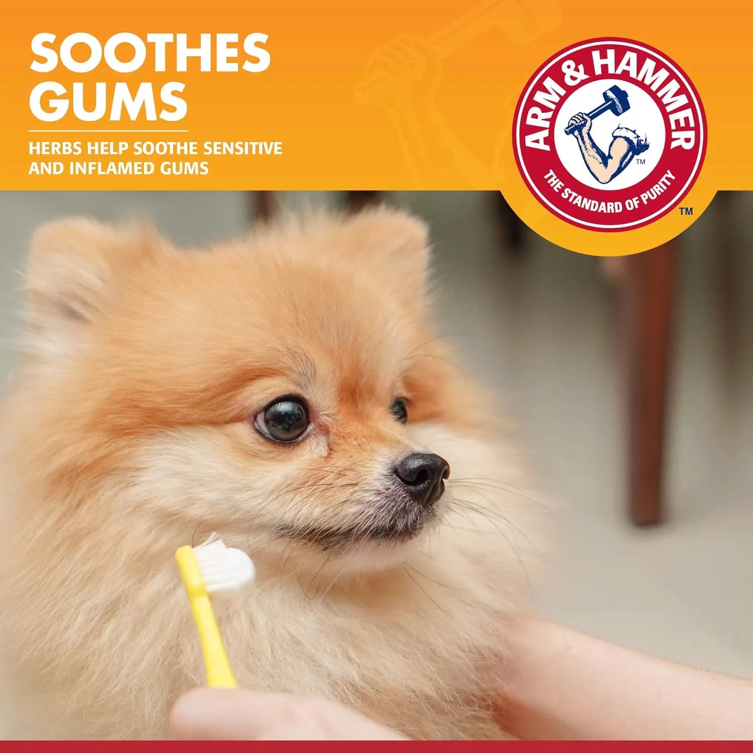 Arm & Hammer enzymatic dog toothpaste soothing sensitive and inflamed gums during gentle brushing
