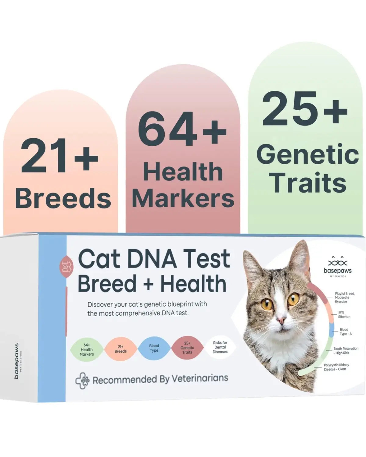 Basepaws cat DNA test kit packaging highlighting breed identification, health markers, and genetic traits