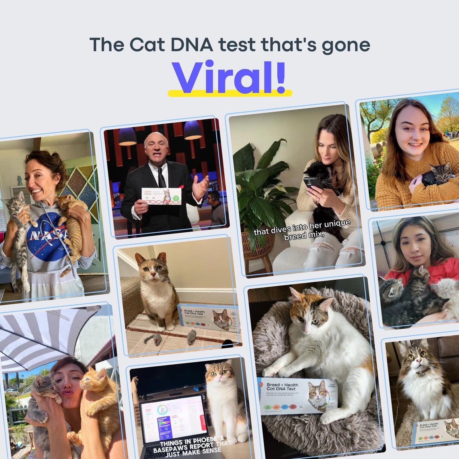 Customer photos and social proof showing cats tested with the Basepaws DNA test kit