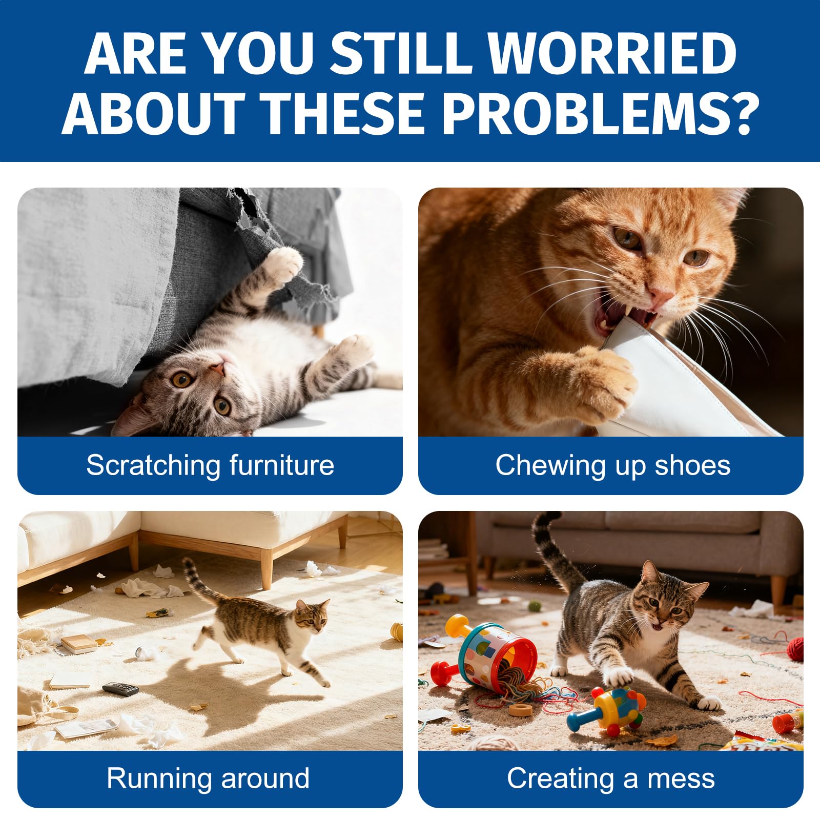 Cats scratching furniture, chewing shoes, running around, and creating mess inside home.