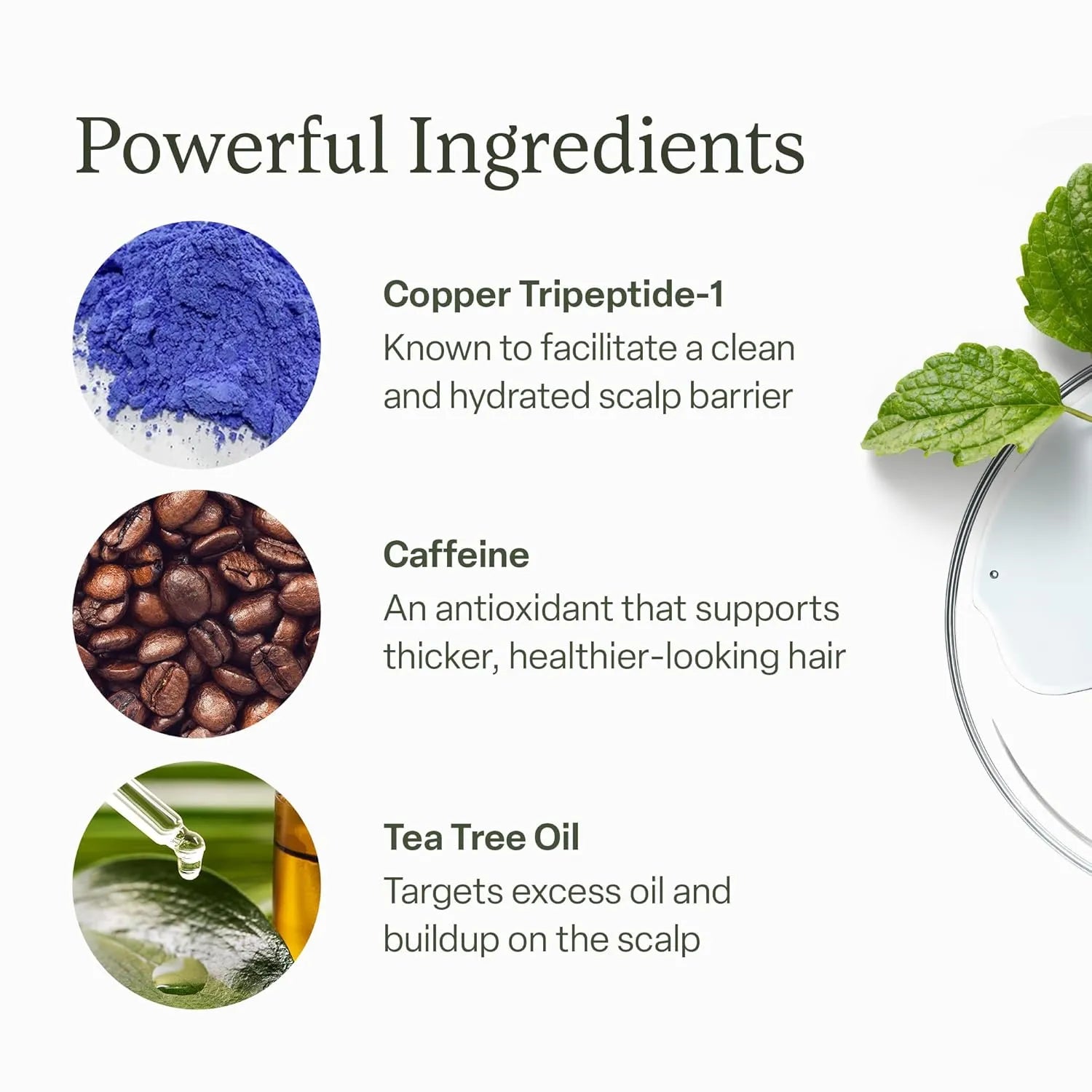 Divi Scalp Serum key ingredients including copper tripeptide-1, caffeine, and tea tree oil to support thicker-looking hair and reduce buildup.