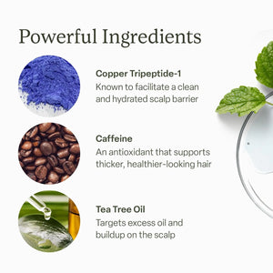 Divi Scalp Serum key ingredients including copper tripeptide-1, caffeine, and tea tree oil to support thicker-looking hair and reduce buildup.