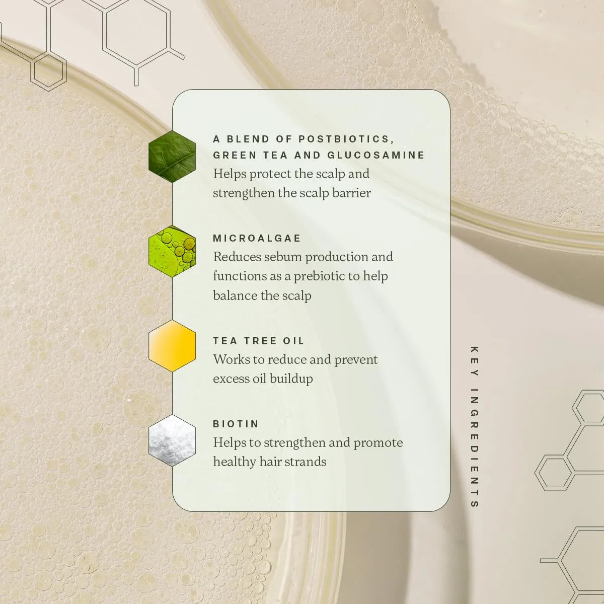 Divi Volumizing Shampoo key ingredients including postbiotics, green tea, glucosamine, microalgae, tea tree oil, and biotin for scalp balance and strength.