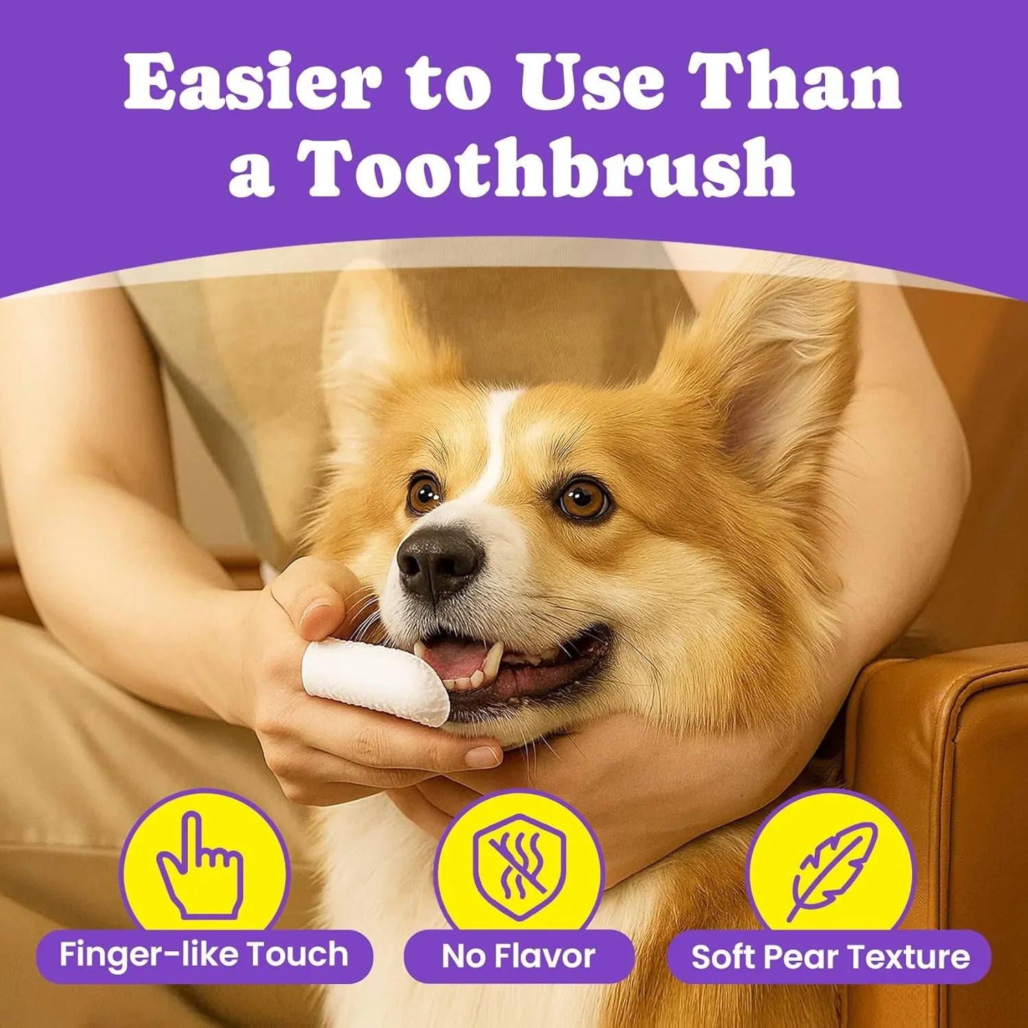 Person using dental finger wipe to clean dog teeth.