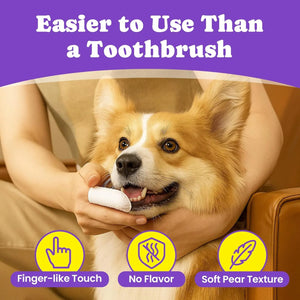 Person using dental finger wipe to clean dog teeth.