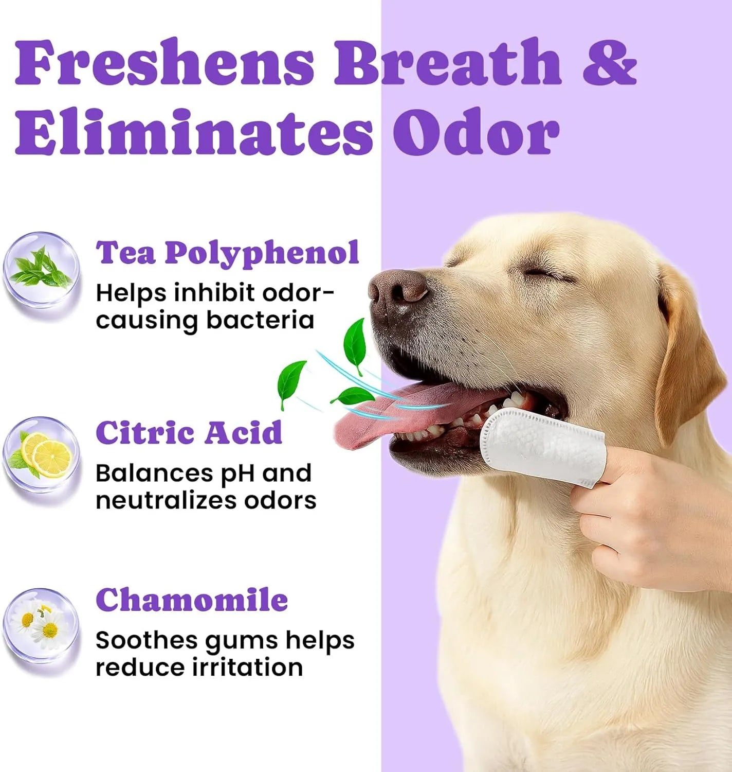 Dog dental finger wipe with ingredient highlights including tea polyphenol, citric acid, and chamomile.