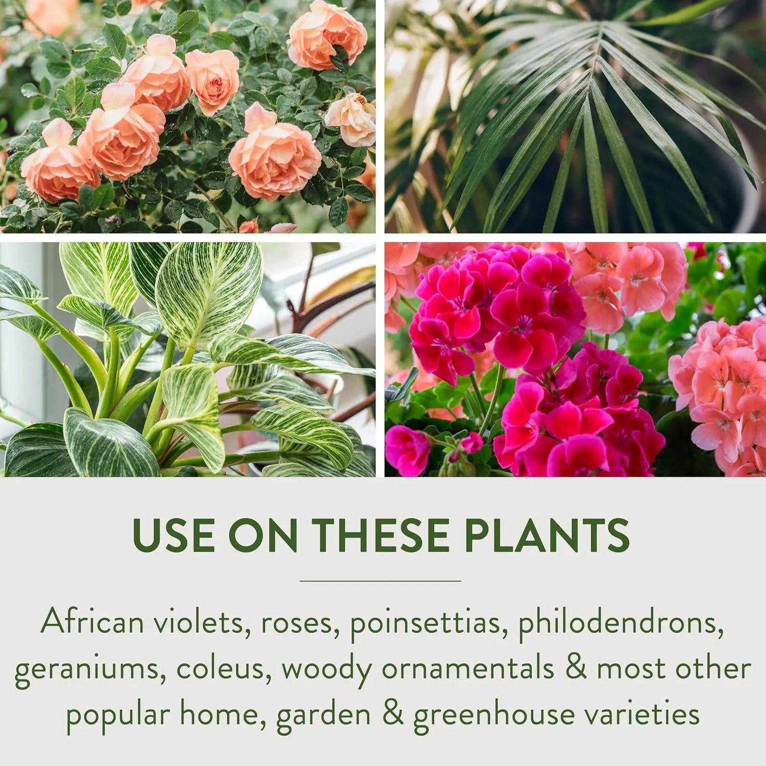 Graphic showing plants compatible with Garden Safe TakeRoot Rooting Hormone including roses, geraniums, and philodendrons.