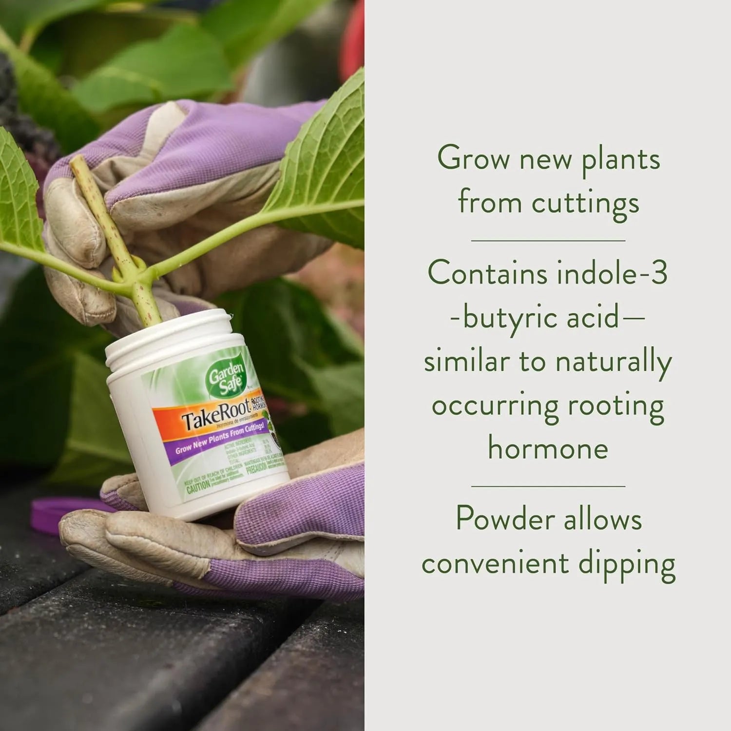 Garden Safe TakeRoot Rooting Hormone container highlighting grow new plants from cuttings benefit.