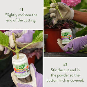 Step-by-step instructions showing how to use Garden Safe TakeRoot Rooting Hormone powder on plant cuttings.