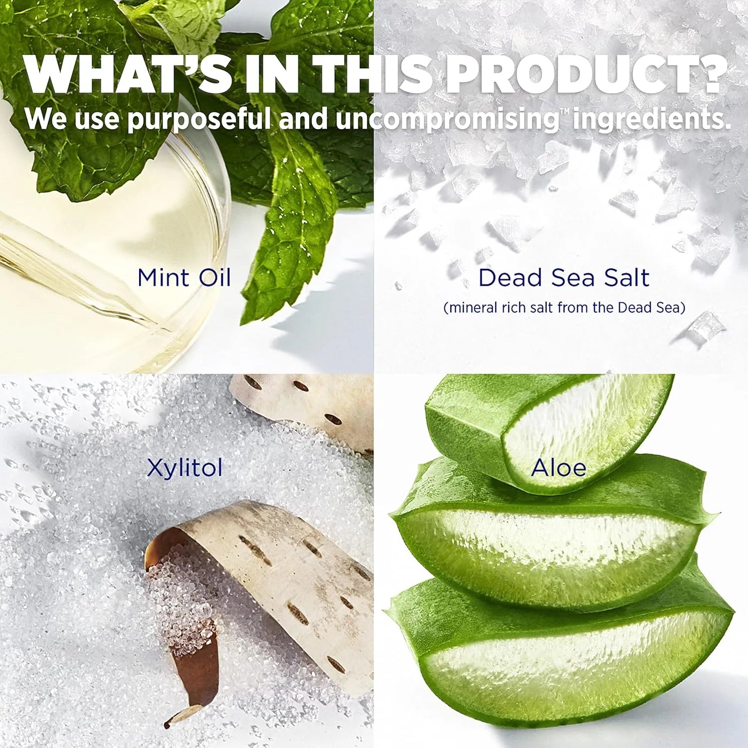 Ingredient image showing mint oil, Dead Sea salt, xylitol, and aloe used in Lumineux Complete Care Toothpaste