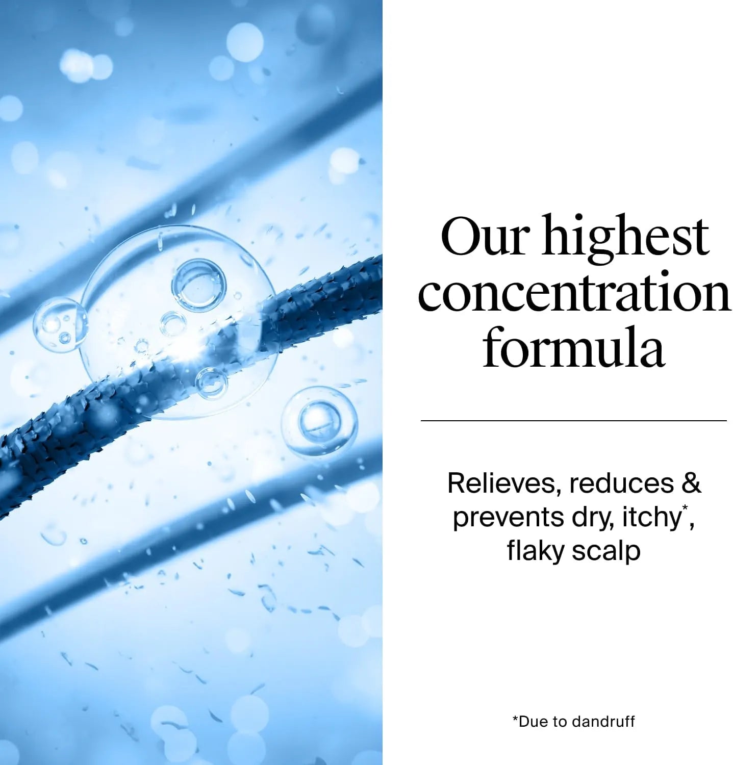 Illustration of hair strand with Neutrogena T/Gel Scalp Relief Shampoo formula description.