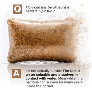 Close up of water soluble septic tank treatment packet containing live bacteria formula