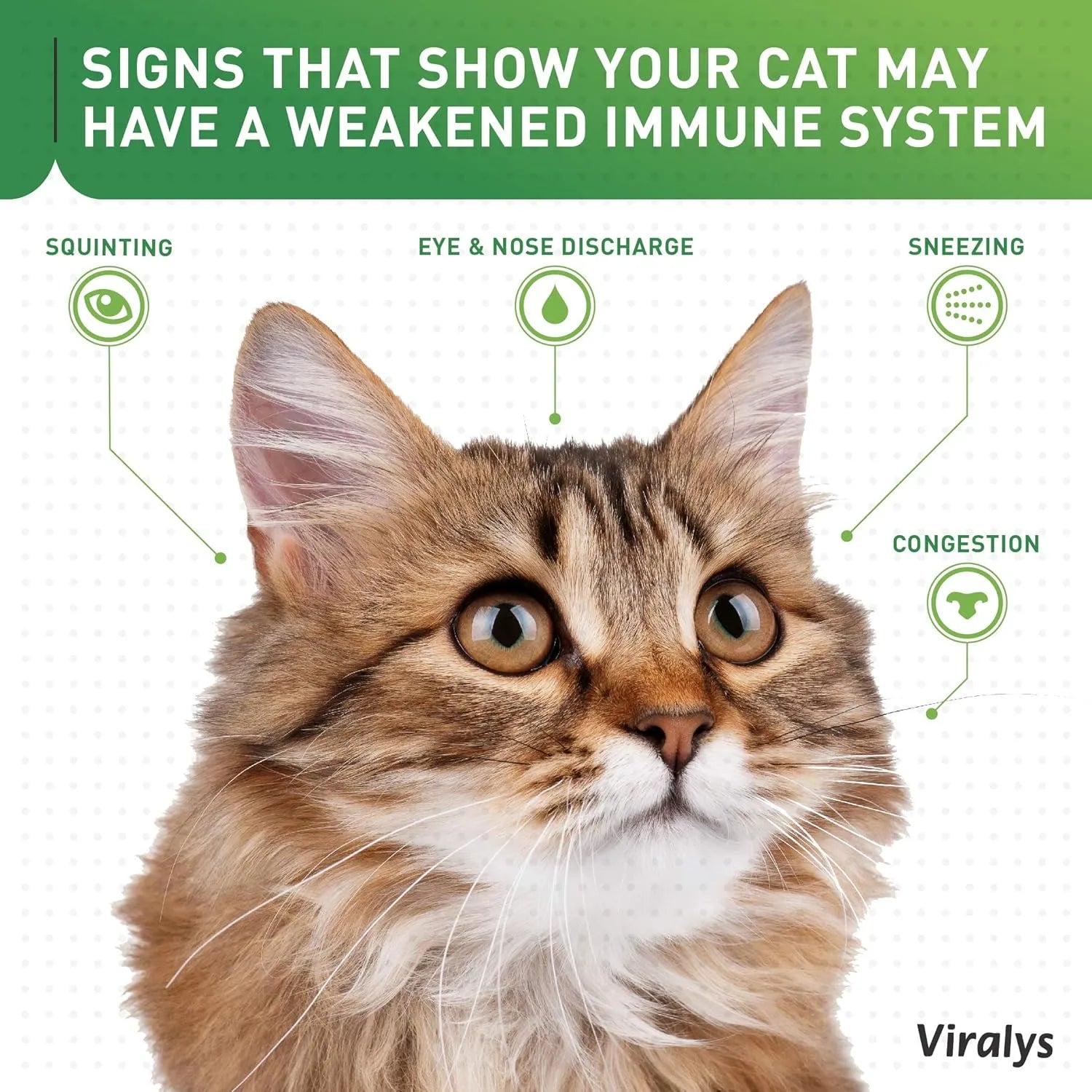 Vetoquinol Viralys L-Lysine supplement for cats highlighting immune, eye, and respiratory health support.