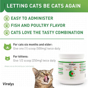 Vetoquinol Viralys L-Lysine Powder feeding directions for cats and kittens with fish and poultry flavor details.