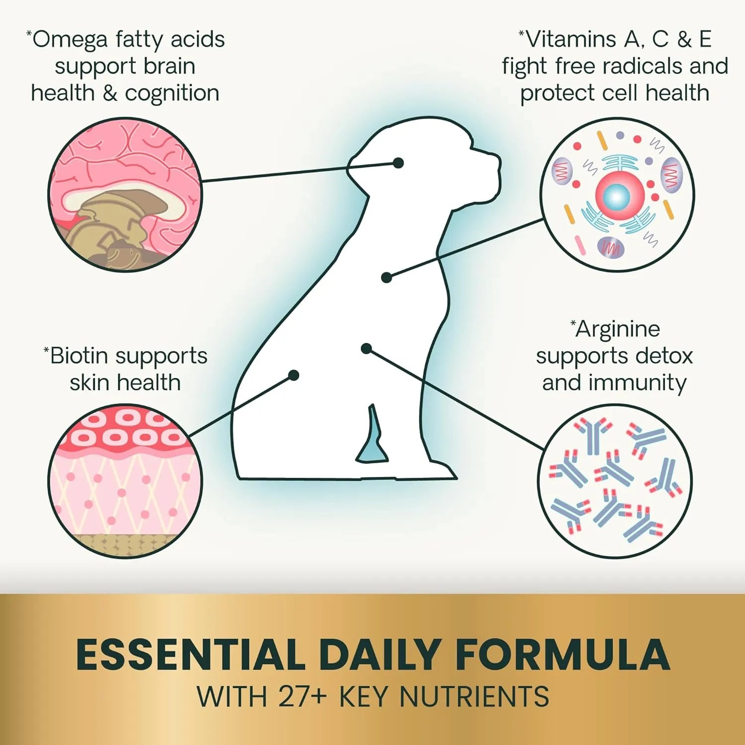 VetriScience Canine Plus 27+ Active Health dog multivitamin with essential daily nutrients