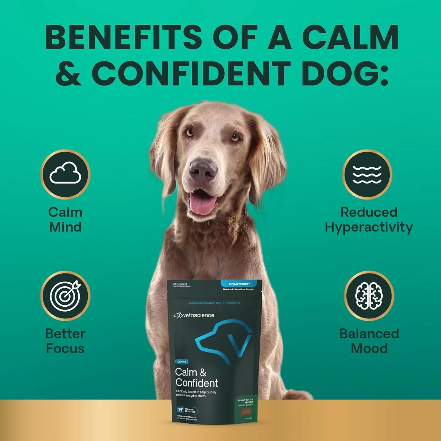 Dog with VetriScience Composure Calm & Confident chews showing calm behavior and balanced mood support