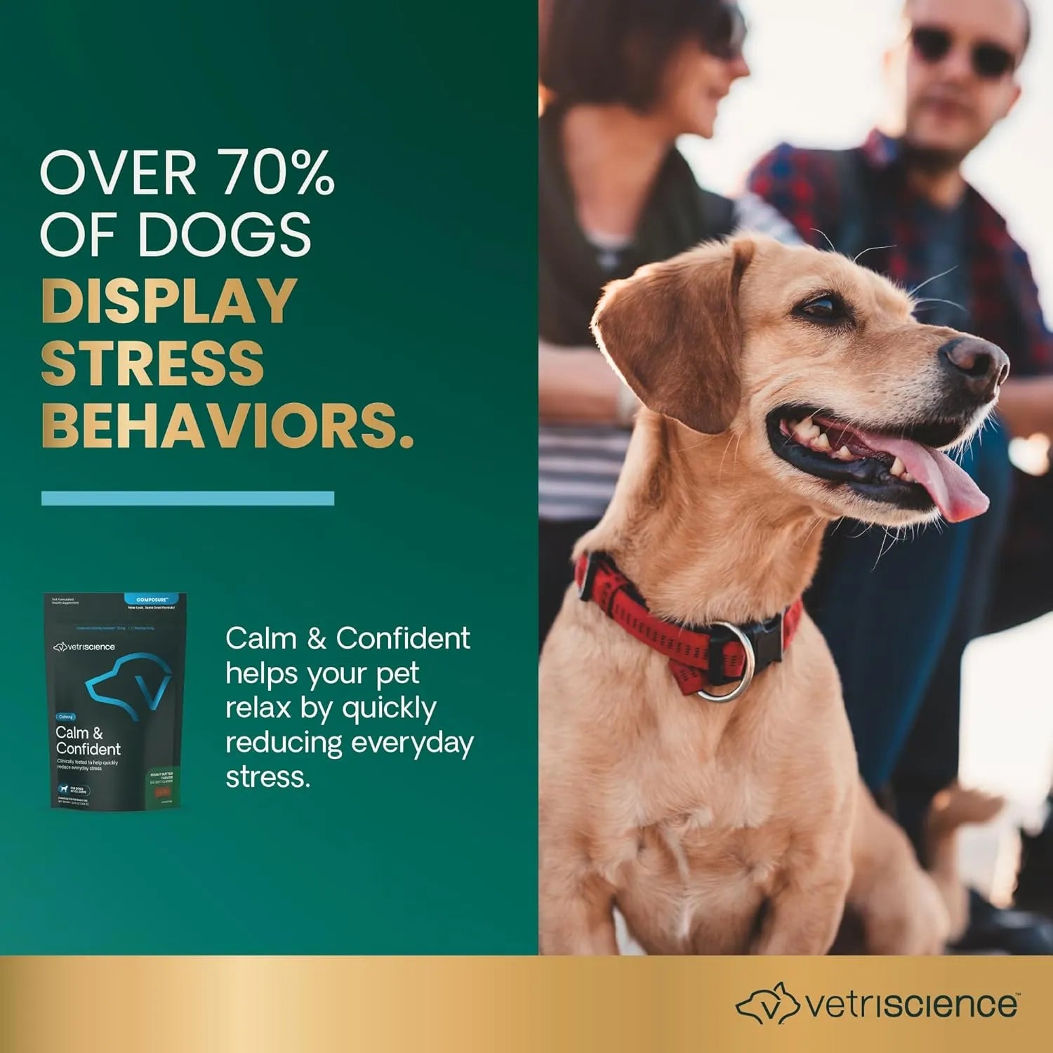 VetriScience Composure Calm & Confident chews supporting dogs during everyday stress situations