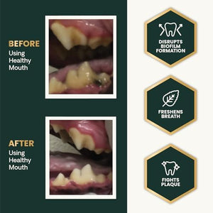 Dog teeth before and after using VetriScience Dental Care Powder oral supplement