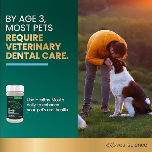 Pet owner with dog highlighting daily oral health support using VetriScience Dental Care Powder