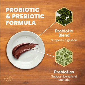 VetriScience Quick Action Digestive Support Paste probiotic and prebiotic formula supporting healthy gut bacteria in pets