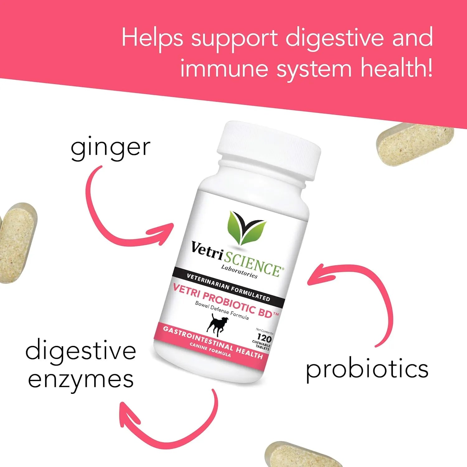 Dog with VetriScience Vetri Probiotic BD digestive support supplement tablets