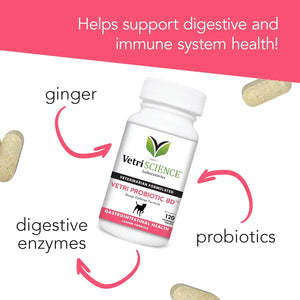 Dog with VetriScience Vetri Probiotic BD digestive support supplement tablets