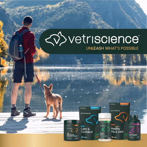 VetriScience dog supplements lifestyle image featuring Calm & Confident chews with pet owner outdoors