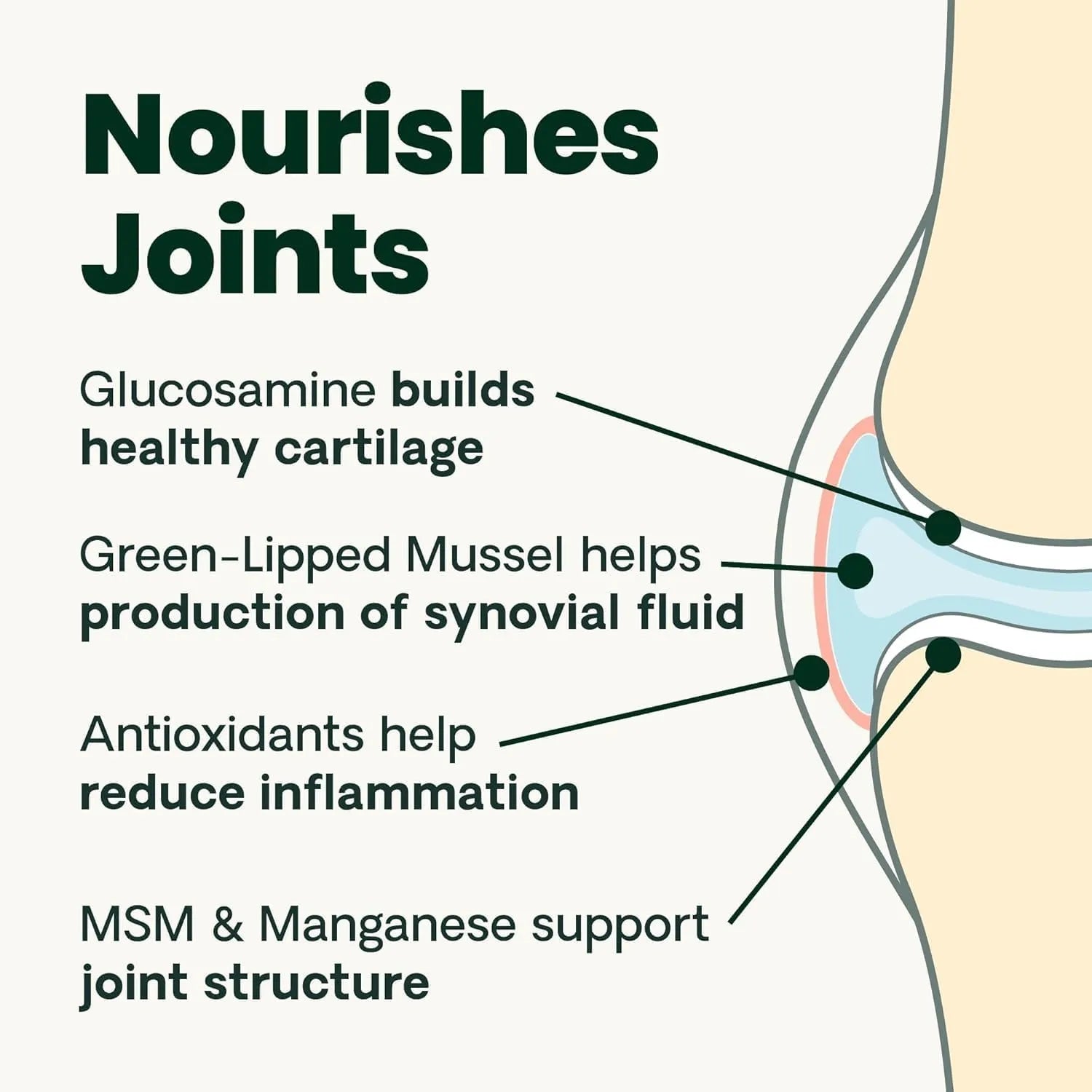 VetriScience GlycoFlex 3 joint support formula showing glucosamine builds cartilage and green lipped mussel supports synovial fluid