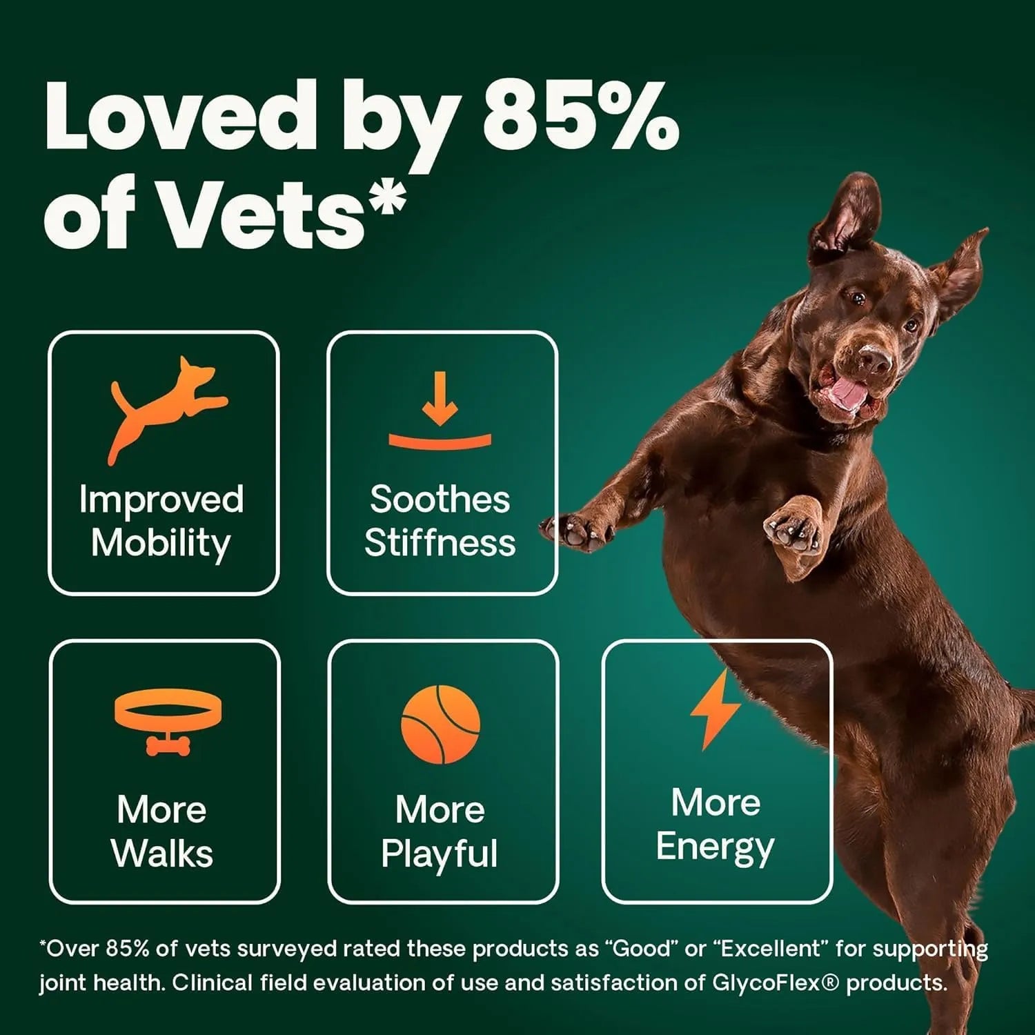 VetriScience GlycoFlex 3 Extra Strength dog joint supplement clinically evaluated for mobility and stiffness support