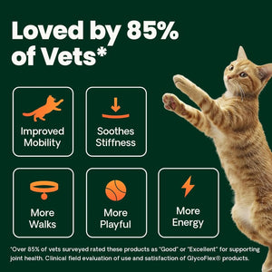 VetriScience GlycoFlex cat joint support chews highlighting improved mobility, joint comfort, flexibility and energy support for cats.