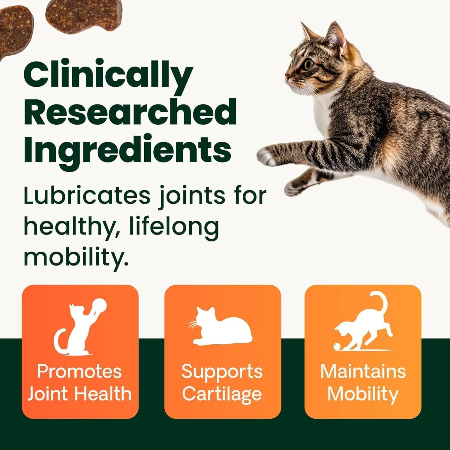 VetriScience GlycoFlex Healthy Hip and Joint Chews for Cats clinically researched ingredients to promote joint health and cartilage support.