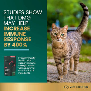 Healthy cat outdoors representing immune and respiratory health support with VetriScience Lysine chews.
